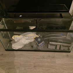 Fish Tank  100