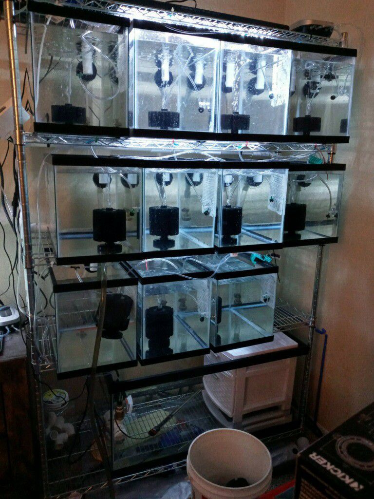 I Have A Fish Grow Out System That Has A Over Flow And Self Drain Firm On Price Pick Up Only And I Have Alot Of Extras For It