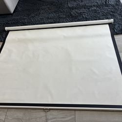 Da-Lite Projector Screen