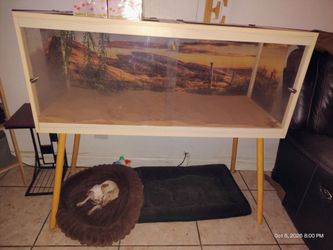 Reptile Tank