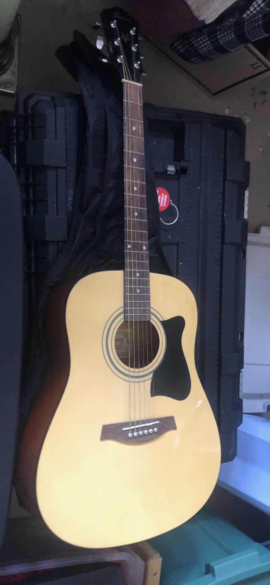 Guitar With Case Ibanez
