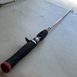 Casting Rod