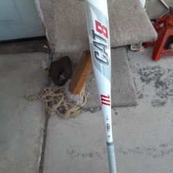 Marucci Cat 8 Baseball Bat