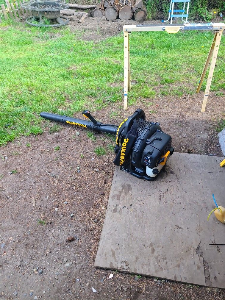 Back Pack Blower Works Good