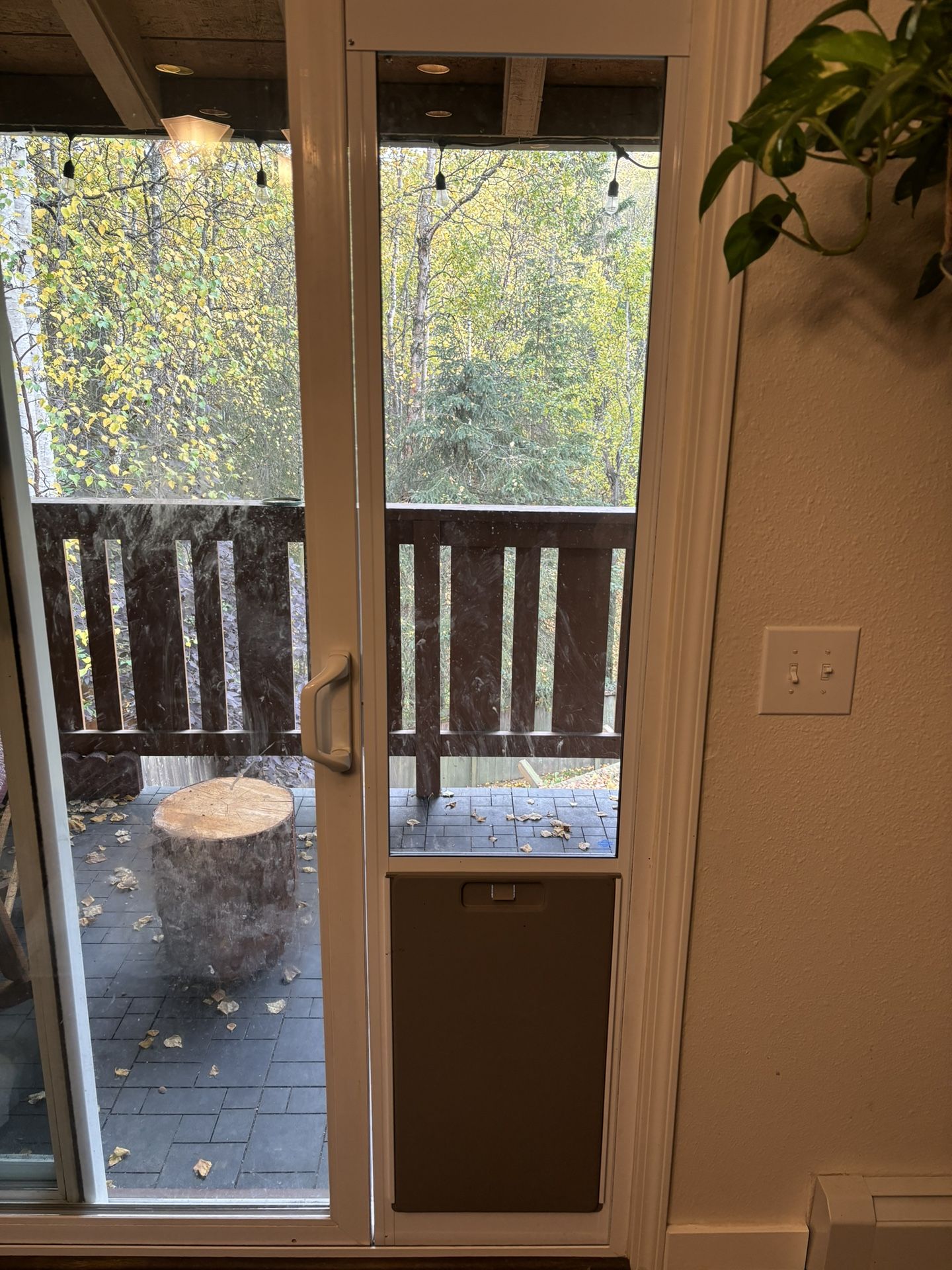 XL Sliding Glass Pet Door (PetSafe)