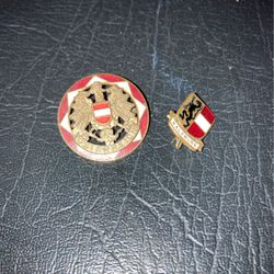 Austrian and Salzburg pins very old