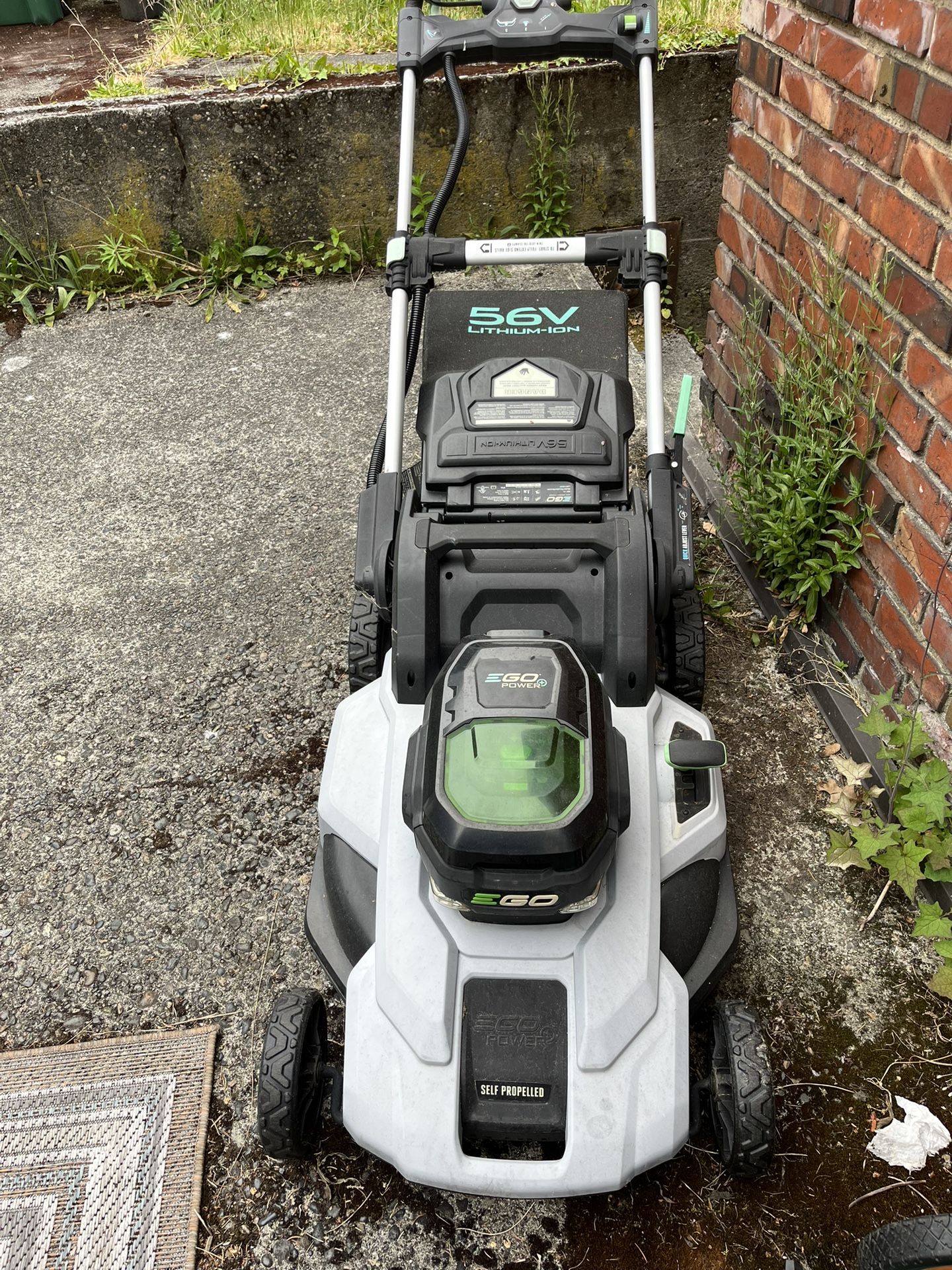 Electric Lawn Mower