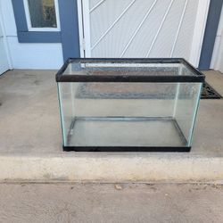 10 Gallon Tank!