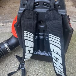 Echo Leaf Blower