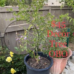Decor tree Asking $45 Or Better Offer 