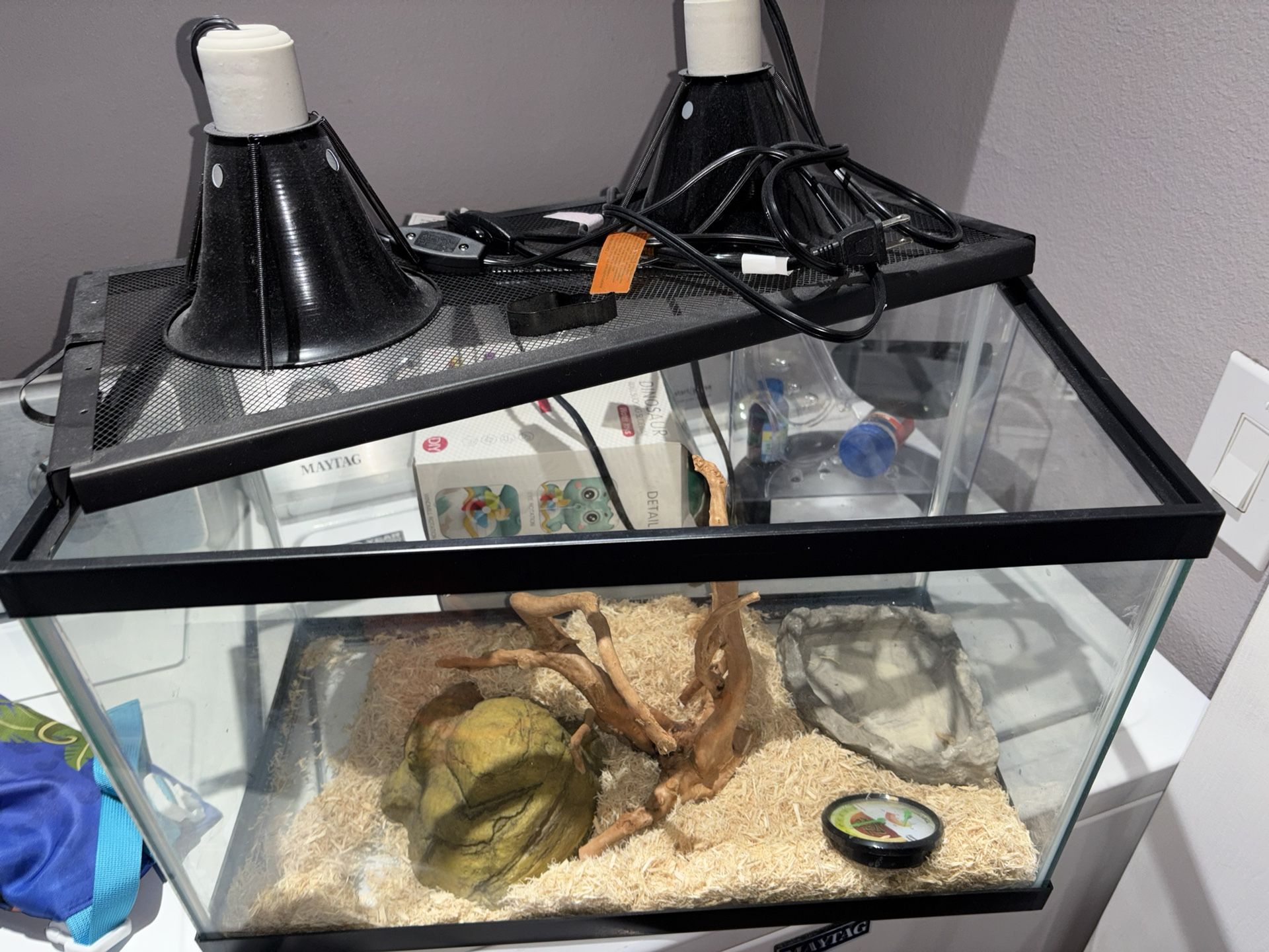 Reptile Aquarium