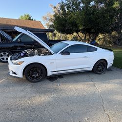 2017 mustang Gt