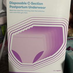 Frida Mom Disposable Underwear 