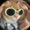 Milde uwu
