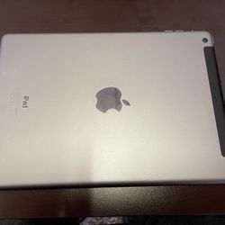 iPad Air 9.7” Screen 