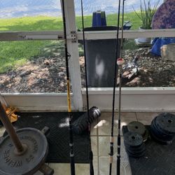 Lot Of Fishing Rods 