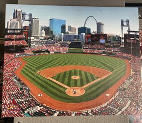 Cardinals Wall Canvas Frame