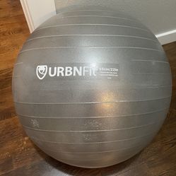 Exercise Ball