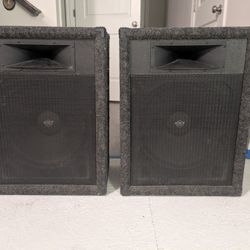 (2) Pair of 12" PA Speakers 