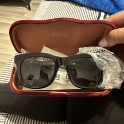 Gucci Sun Glasses 