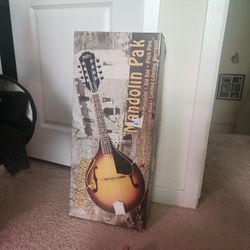 Washburn Mandolin