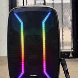 Professional Rechargeable 15" Speaker with Wireless Microphone