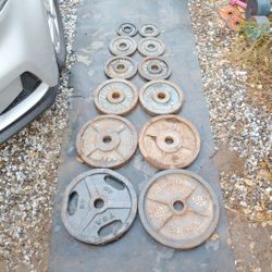 245lbs Olympic Weights 