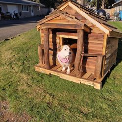 Custom made dog houses...   My Best Friends House