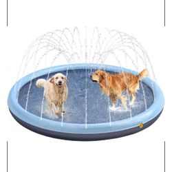 Dog Pool Akc Golden Retriever