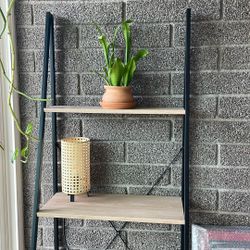 Modern Indoor Latter Shelf