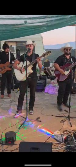 Guitarras y Bajo