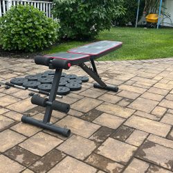 Bench and Weights 