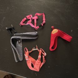 Dog Harness 