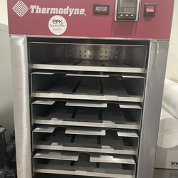 Thermodyne food warmer