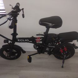 Electric Bike