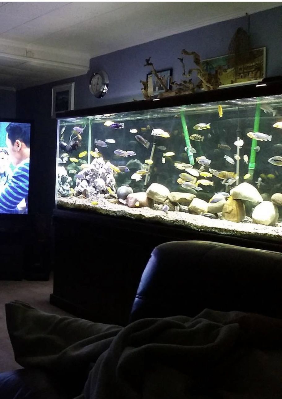 265 Gallons Fish Tank With Filters