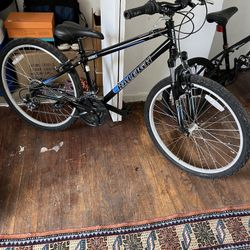 Mountain Bike