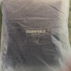 Essential Hoodie (Size S)