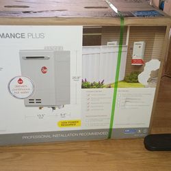 Rheem Tankless Water Heater
