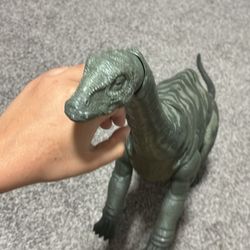 Super colossal apatosaurus dinosaur