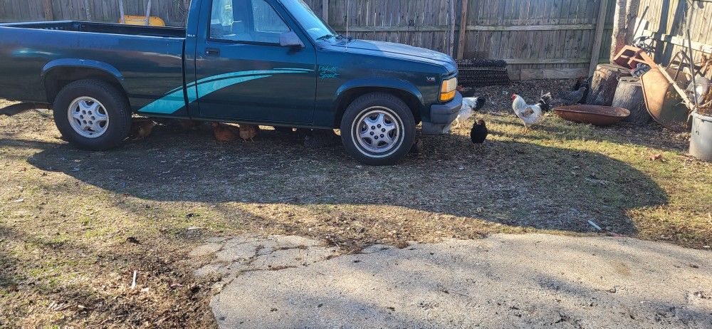 1995 Dodge Dakota