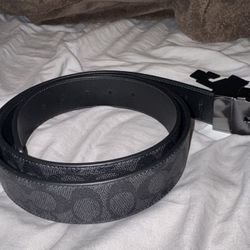 Coach belt (OBO)