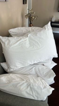 Hotel grade standard sized pillows with protective covers