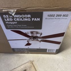 Ceiling fan