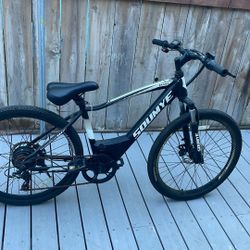 Electric Mountain Bike