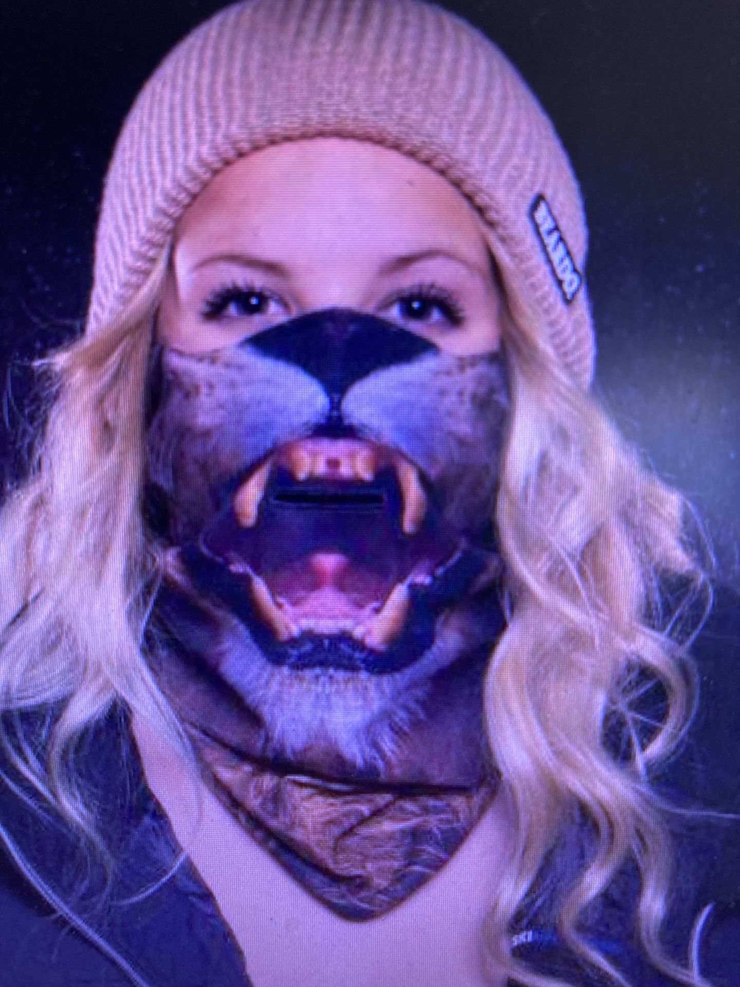 Lion 360 Print Ski Mask Perfect Also For Costumes