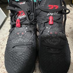 Lebron Shoes