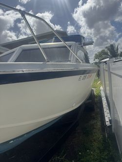 Chris Craft