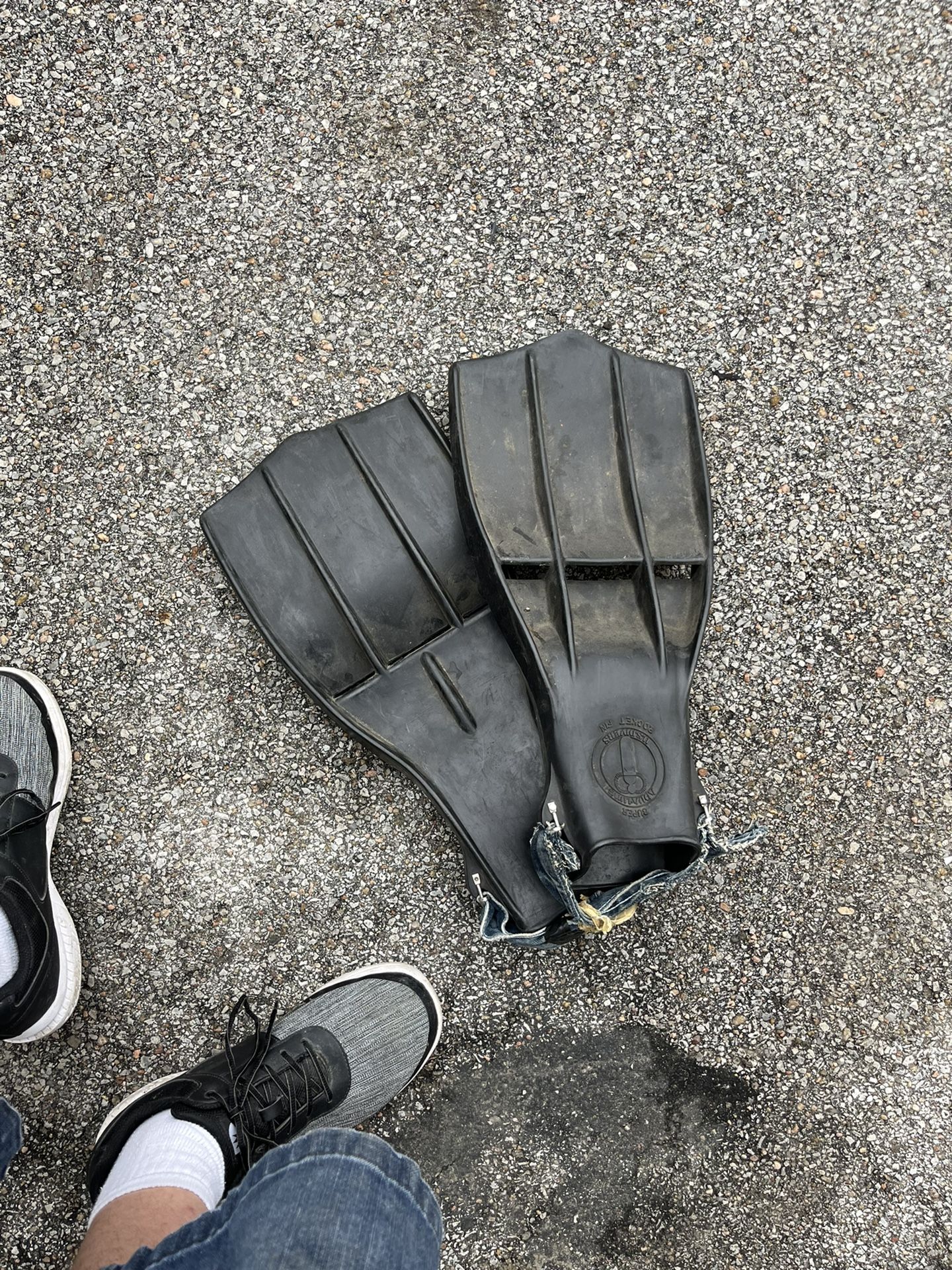 Flippers