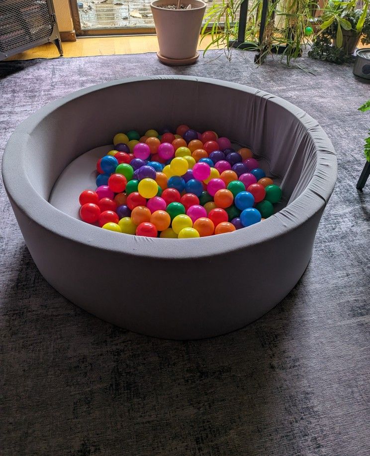 Things My Cat Ignores